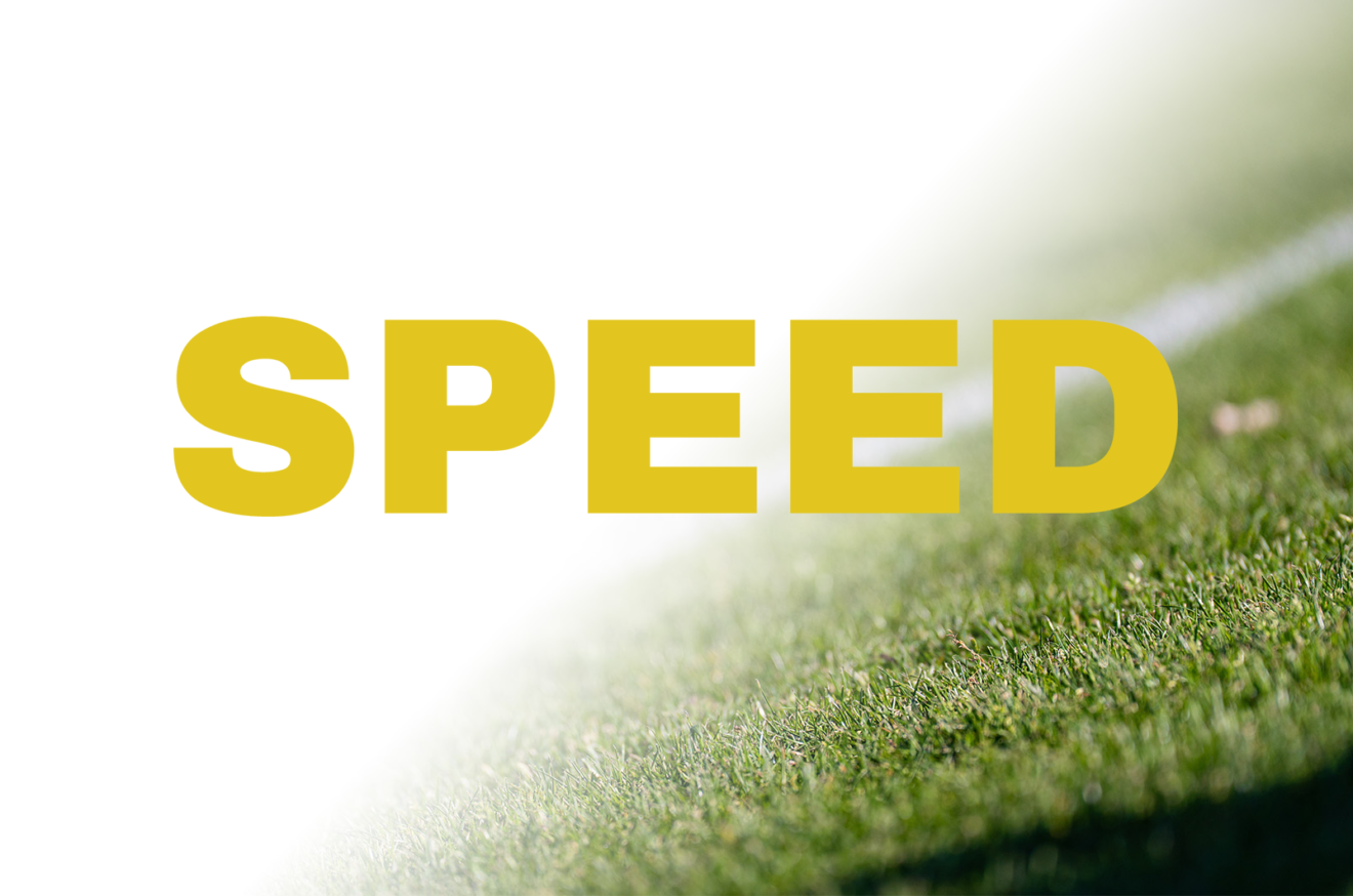 Willkommen bei Speed News.
